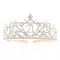 Ella Celebration 21 Tiara 21st Birthday Party, Party Accessories - Rose Gold